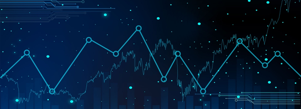 Due Diligence Process